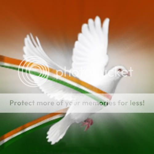 indian flag photo: Indian Flag_Bird 3Coulors_Bird.jpg