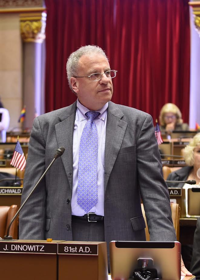 Assembly Member Dinowitz State Assembly Chambers Vote Hearing