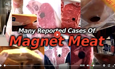 Magnet Meat: Magnetogenetics? CRNiRsm86u