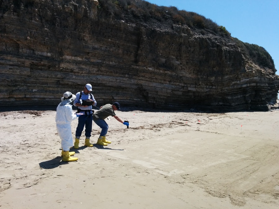 Members of the AVIRIS-NG team, including citizen scientists, take spectral measurements of tar on a beach affected by the oil spill. The measurements were used to validate the AVIRIS-NG aerial data. Photo by Mike Glick, citizen scientist.