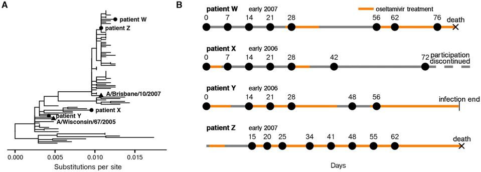Figure 1. Overview of patient influenza infections and treatments. Periods of oseltamivir (Tamiflu) treatment are shown in orange.