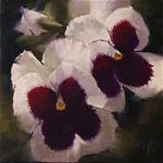 White Pansy Study 2 - Posted on Friday, March 20, 2015 by Lori Twiggs