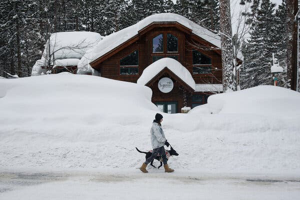 A woman
                            walking a dog next to snow piled several
                            feet higher than her head.