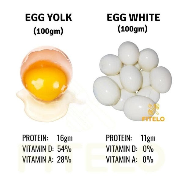Why egg yolk is harmful and egg white is beneficial? Main-qimg-9fac0858584aa3215c196084280c00e9-lq