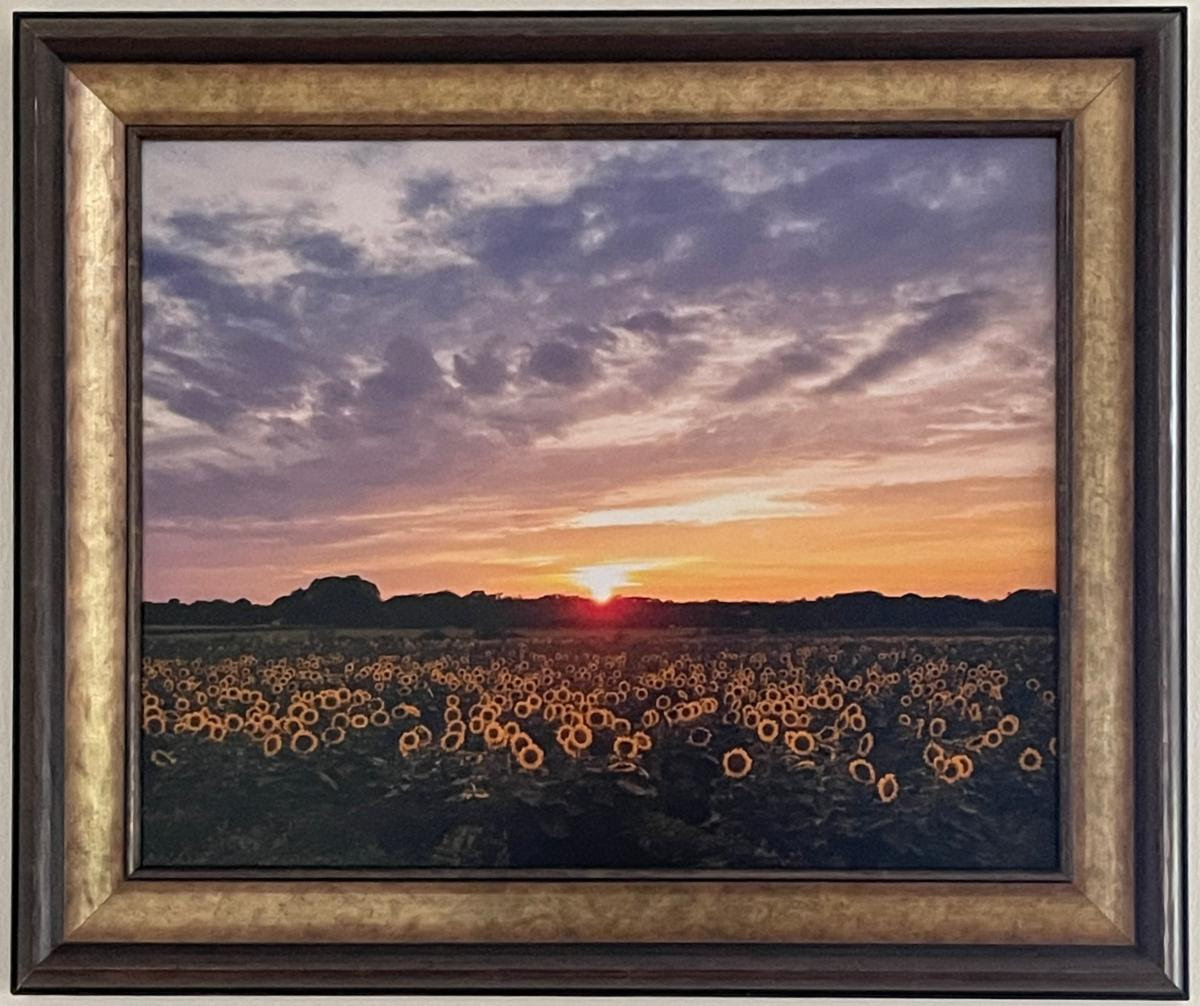 1410 Sunflower Fields on the North Fork.jpg