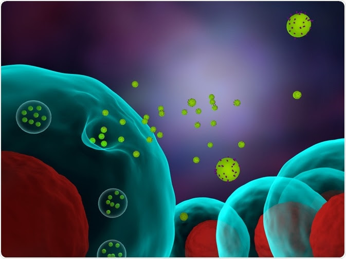 exosomes being released from a cell - By Meletios Verras