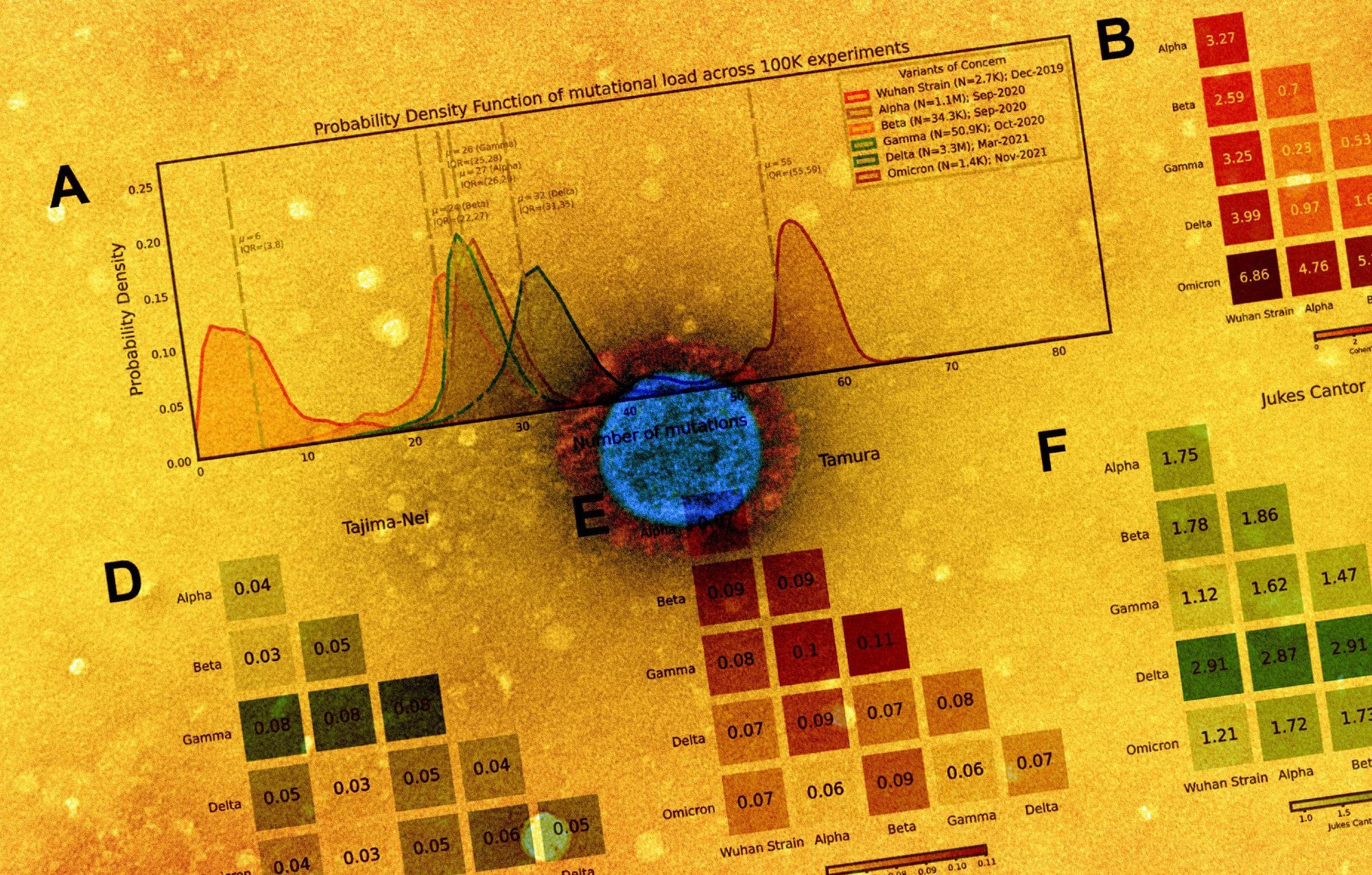 Study: Genomic diversification of long polynucleotide fragments is a signature of emerging SARS-CoV-2 variants of concern. Image Credit: NIAID