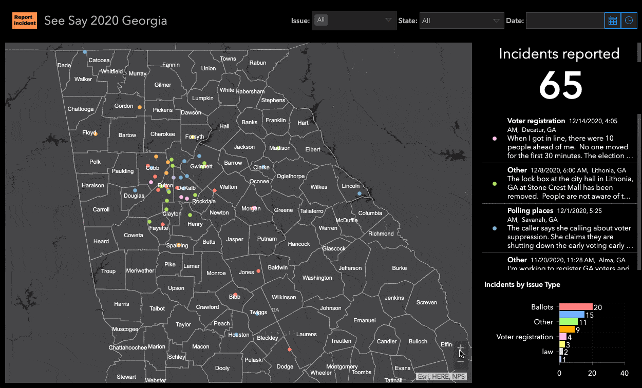 Voters can report incidents of voter suppression with SeeSay2020.