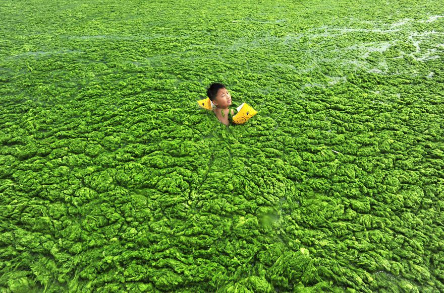 environmental-problems-pollution-15__880.