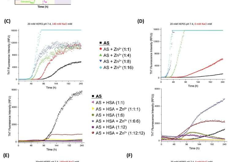 Zinc enhances albumin’s protective role against Parkinson's disease