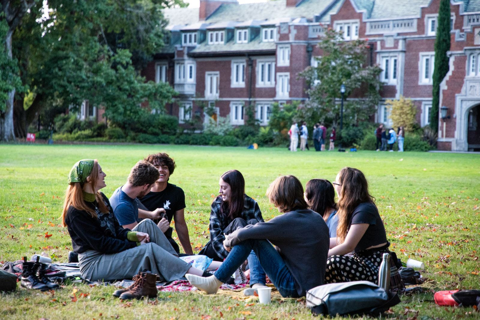 A group of students laughing and talking on the lawn.