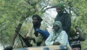 Niger: 50 armed Muslims storm village, kidnap fifteen girls