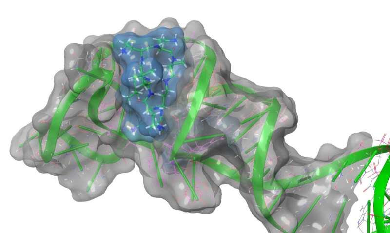 Researchers ID potential target for anti-viral drugs to battle COVID-19