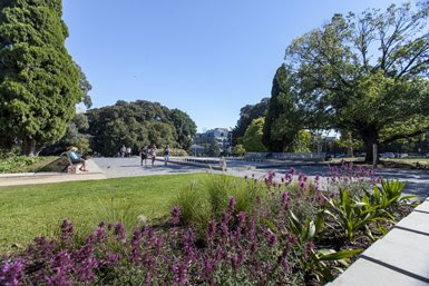 A park with green grass and trees.