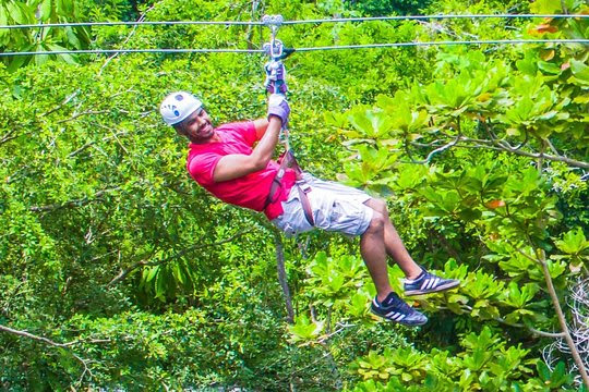 Falls Flyer Zipline and Dunn's River Falls Adventure Tour from Falmouth