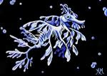 Leafy Sea Dragon - Posted on Monday, January 5, 2015 by Monique Morin Matson