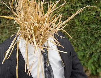 2015-09-20-1442779286-2906042-strawman.jpg