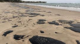 O mistério das manchas de petróleo que surgiram em praias do Nordeste