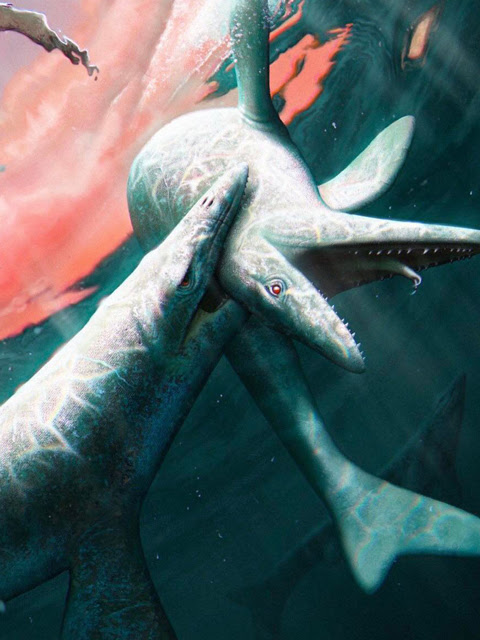 Color illustration of two mosasaurs fighting underwater, with one mosasaur's head in another's mouth.