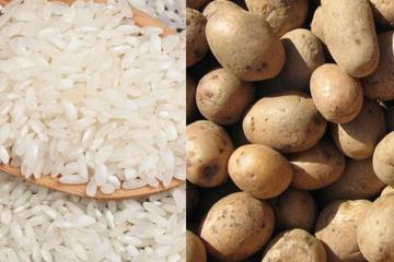 Producción de arroz, papa y maíz caería hasta 40% debido a falta de fertilizantes