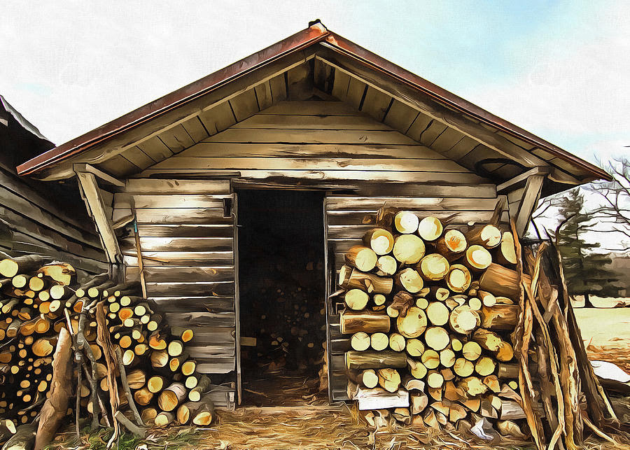 The Billionaire Woodshed -  by Yosef The-old-woodshed-marion-johnson