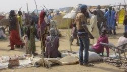 Rifugiati in Camerun, nella diocesi  di Yagoua