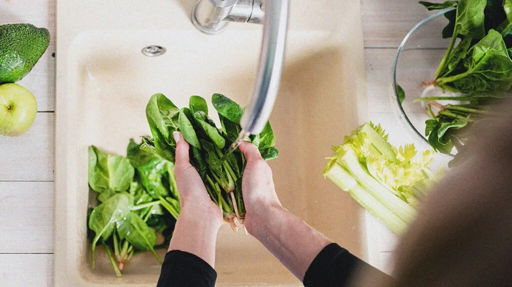 a person is washing salad leaves in the kitchen sink