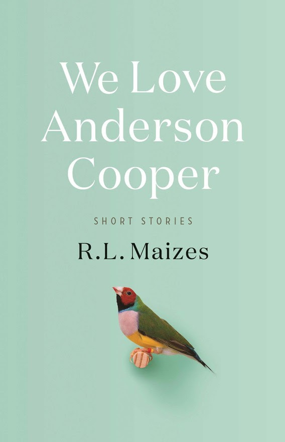 We Love Anderson Cooper by R.L. Maizes