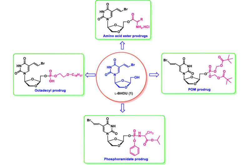 New molecule could treat shingles, herpes viruses