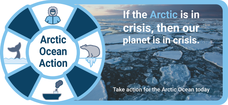 Arctic Ocean Action