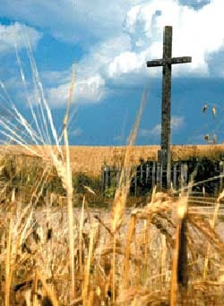 Znalezione obrazy dla zapytania MODLITWA O URODZAJE