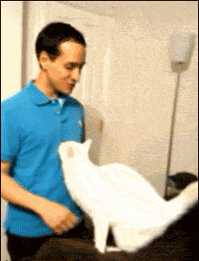 Un câlin... EbsM9o9