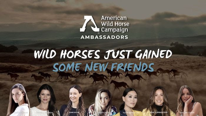 Wild Horses Just Gained Some New Friends: Photos of Kaitlynn Carter, Jenni Kayne, Jessica Springsteen, Chloe Gosselin, Brandi Cyrus, Alicia Hannah-Kim, Danielle Vasinova