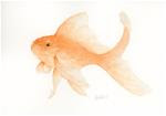 Goldfish Study V - Posted on Saturday, November 15, 2014 by Susanne Billings