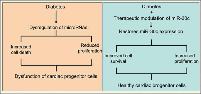 Discovery for treatment of heart disease in type-2 diabetics