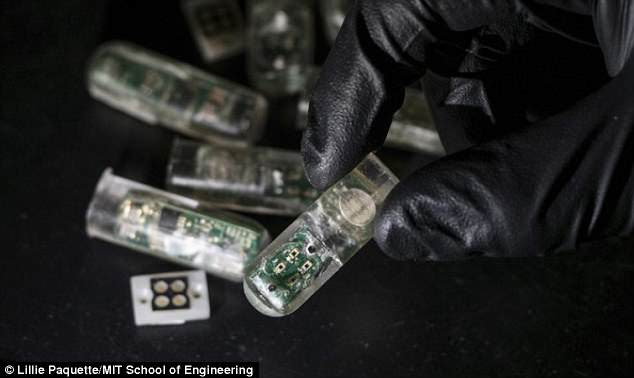 Unlike other ingestible chips, this new version by MIT contains millions of genetically engineered living cells to act as sensors, designed to light up when they detect bleeding