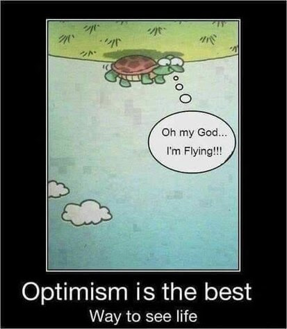 Optimism-Turtle-See-Life