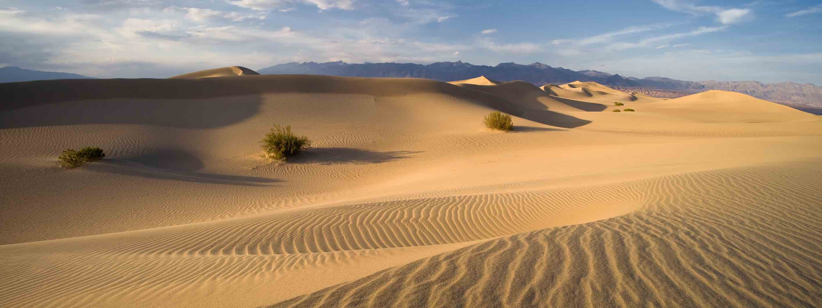 Death Valley dunes.