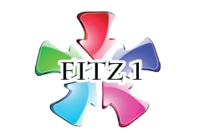 Fitz One International Co.,Ltd.