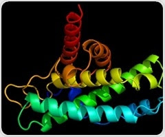 New imaging tool helps study toxicity of proteins linked to Alzheimer's and Parkinson's diseases