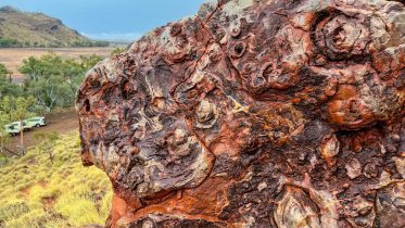 Egg Carton Stromatolites Trendall Western Australia