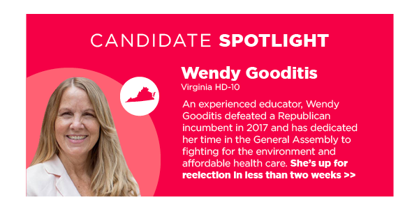 Candidate Spotlight: Wendy Gooditis (VA HD-10)