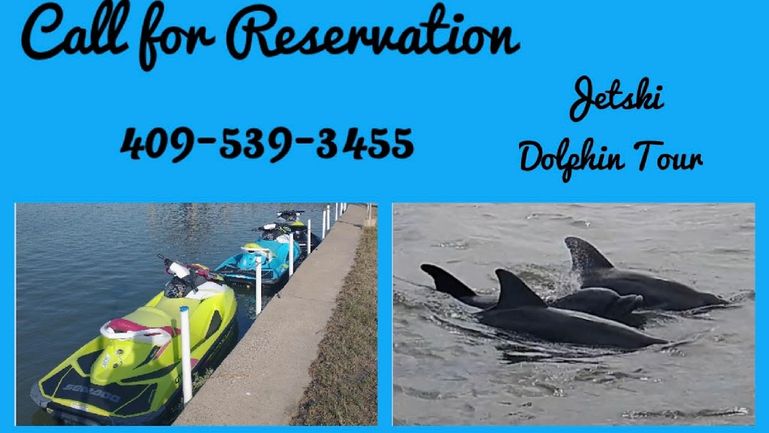 Jet Ski Dolphin Tour Find Out About This Attraction