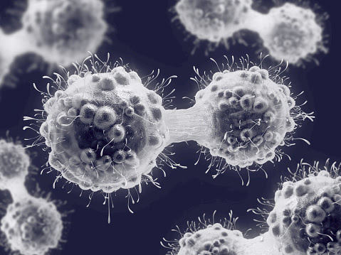 imagen de dos celulas cancerigenas