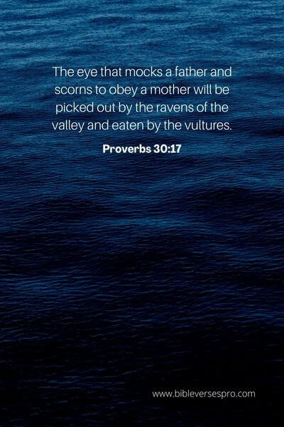 Proverbs 30_17