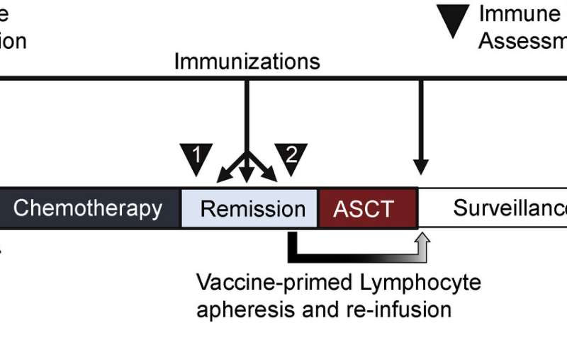 Early clinical trial supports tumor cell-based vaccine for mantle cell lymphoma