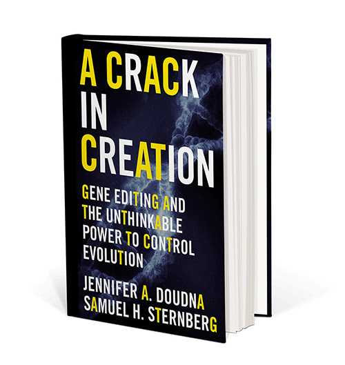 A Crack in Creation