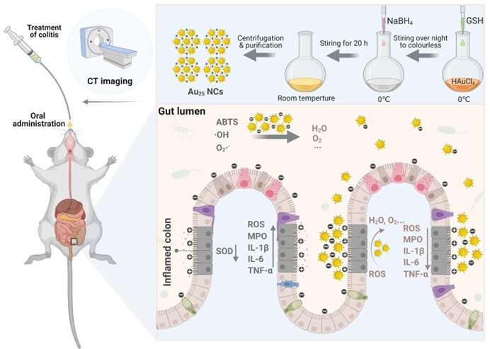 Study finds that gold may hold the secret to treating inﬂammatory bowel disease