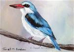 Woodland Kingfisher ACEO - Posted on Saturday, February 21, 2015 by Janet Graham