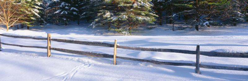 Winter Snow and Fence image